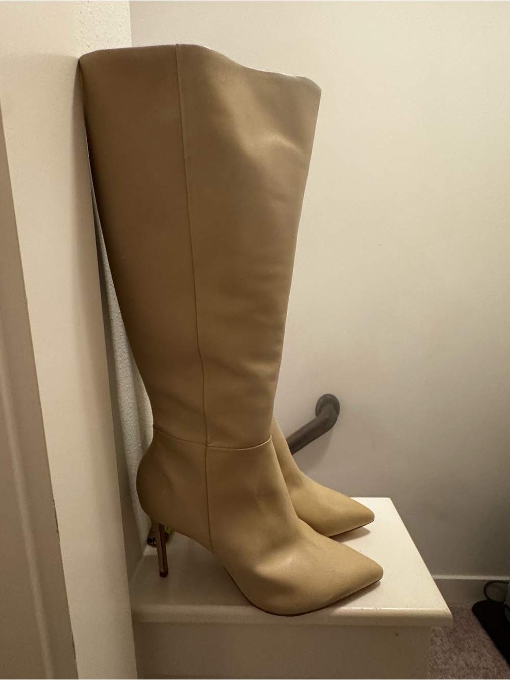SCHUTZ Over-the-Knee Pointed Stiletto Boots in Light Tan